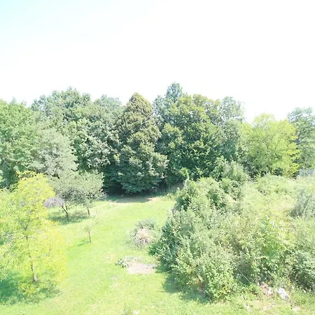 By Zec Apartment