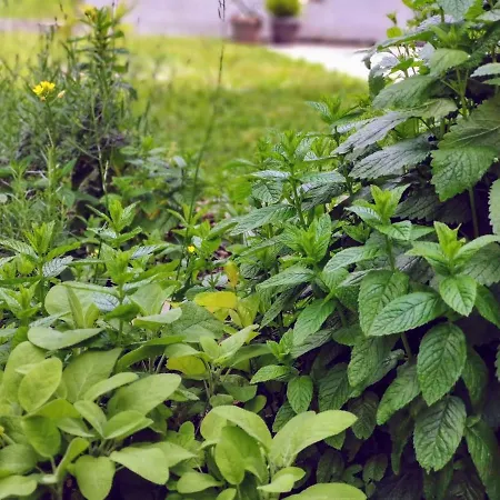 アパート By Zec *